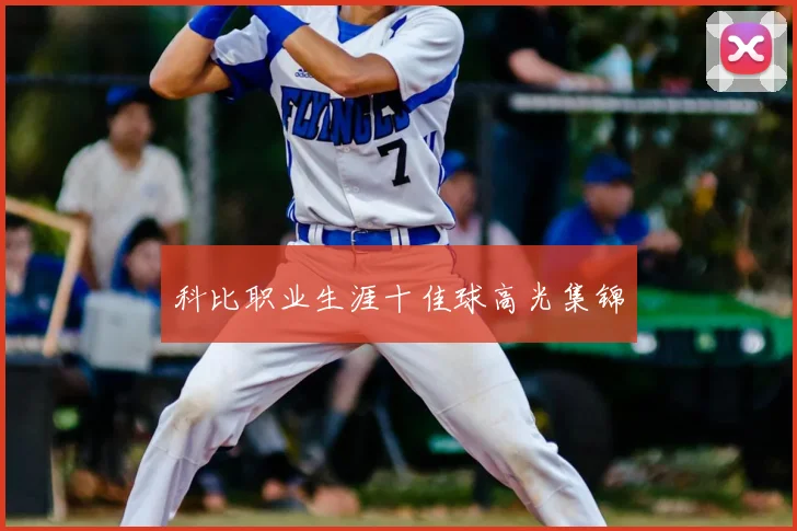 科比职业生涯十佳球高光集锦
